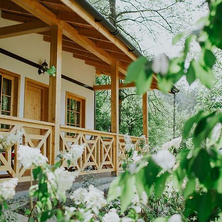 Cosama Village Sighișoara Zewnętrze zdjęcie