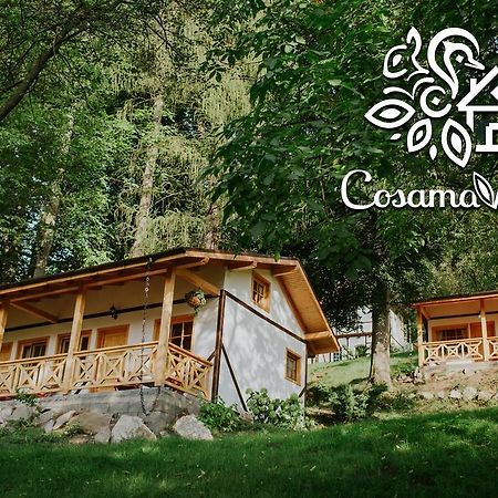 Cosama Village Sighișoara Zewnętrze zdjęcie