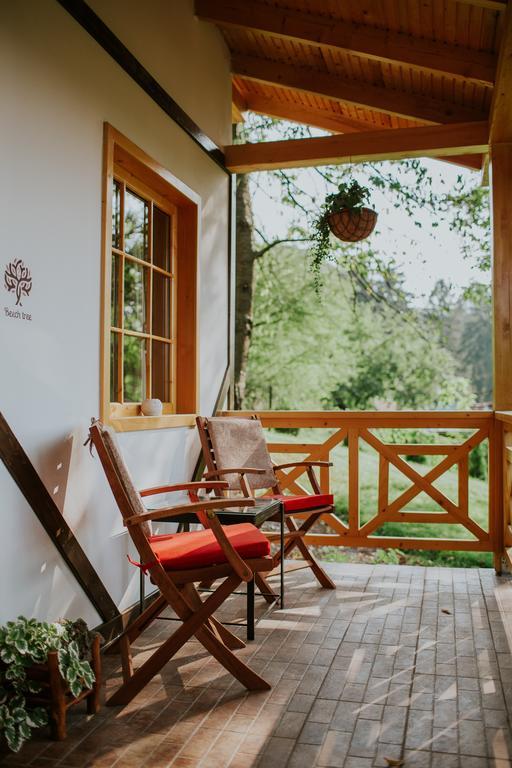Cosama Village Sighișoara Zewnętrze zdjęcie