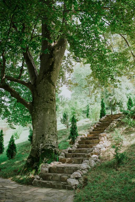 Cosama Village Sighișoara Zewnętrze zdjęcie
