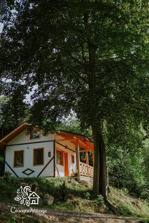 Cosama Village Sighișoara Zewnętrze zdjęcie